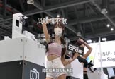 十年九夏-风吹情不散(DJ沈念 车模DJ视频)