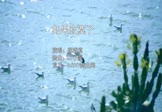 郑晓填-如果寂寞了(DJ小豪 写真DJ视频)