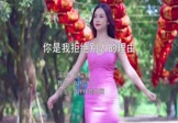 赵霏儿-你是我拒绝别人的理由(DJ伦大人 写真DJ视频)