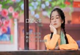 张玮伽-口是心非(DJ阿健 写真DJ视频)