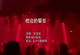 张俊波-枕边的誓言(DJ金诚 夜店DJ视频)