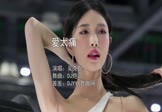 吴克群-爱太痛(DJ炮哥 车模DJ视频)