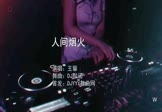 王馨-人间烟火(DJ默涵 夜店DJ视频)