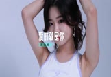 王力宏-爱的就是你(DJ炮哥 车模DJ视频)