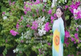 半吨兄弟-风雨无阻(DJHouse 写真DJ视频)