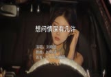 刘晓超-想问情深有几许(DJ默涵 写真DJ视频)