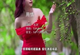 羊羊-用情(DJKzai 写真DJ视频)
