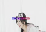 葛林-爱太难(DJ阿福 写真DJ视频)