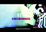 孙燕姿-遇见(DJ神仙鼠 夜店DJ视频)