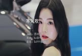 乔玲儿-寒风吹(DJ京仔 车模DJ视频)