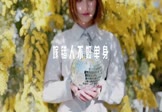 任夏-嫁错人不如单身(ZiPingH 写真DJ视频)