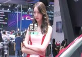 女声-花香(DJ小叶 车模DJ视频)