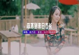 赵乃吉-敬不到来日方长(DJ文少 写真DJ视频)