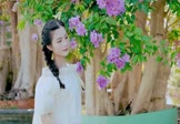 男声-我的眼里只有你(DJ版 写真DJ视频)