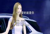 杨春辉-今生爱的就是你(DJ版 车模DJ视频)