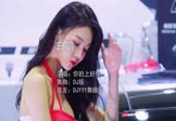 你的上好佳-白鸽(DJ版 车模DJ视频)