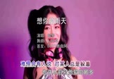 韩策-想你的雨天(DJ阿卓 打碟DJ视频)