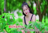 魏佳艺-爱如利剑情如刀(DJ沈念 写真DJ视频)