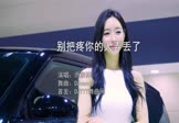 雨宗林-别把疼你的人弄丢了(DJcandy 车模DJ视频)