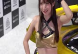 王绎龙-帅到没朋友(DJ版 车模DJ视频)