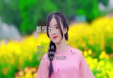 女声-都怪我(DJHouse 写真DJ视频)