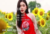 刘若英-后来(DJWave 写真DJ视频)