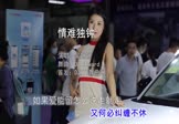 吴姗姗-情难独钟(DJAilward 车模DJ视频)
