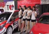 龙梅子-你把爱情给了谁(王强 车模DJ视频)