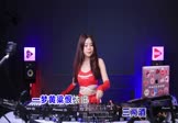 魏佳艺-一趟人间三两酒(DJR7 打碟DJ视频)