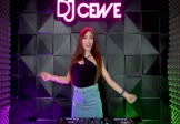 庄心妍-一万个舍不得(DJ刚仔 打碟DJ视频)