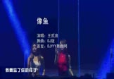 王贰浪-像鱼(DJ版 夜店DJ视频)