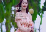 花僮-撞离愁(DJ默涵 写真DJ视频)
