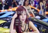 林忆莲-至少还有你(DJ版 车模DJ视频)