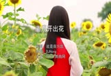 就是南方凯-离别开出花(DJHong 写真DJ视频)
