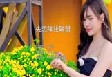女声-失恋阵线联盟(DJHouse 写真DJ视频)