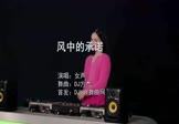 女声-风中的承诺(DJ方杰 打碟DJ视频)