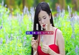 合唱-想把我唱给你听(DJHouse 写真DJ视频)