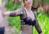 柳爽-漠河舞厅(DJ车载 热舞DJ视频)