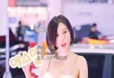 合唱-如意(DJ贝塔 车模DJ视频)