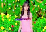 张宇-小小的太阳(DJ阿亮 写真DJ视频)