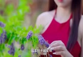 谢霆锋-因为爱所以爱(DJATao 写真DJ视频)