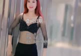 蒋雪儿-莫问归期(DJAj 热舞DJ视频)