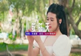 苏谭谭-敬昨天(DJ阿亮 写真DJ视频)