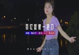 陶安平-回忆就像一把刀(DJ版 写真DJ视频)