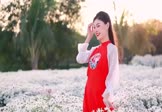 女声-偷心(DJTLk 写真DJ视频)