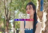 霜雪千年-梨花香(DJ版 写真DJ视频)