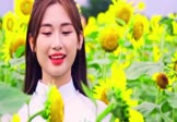 王菲-传奇(DJ阿亮 写真DJ视频)