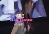 略略略-鸳鸯戏(DJ车载 打碟DJ视频)