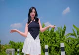 就是南方凯-离别开出花(DJHouse 热舞DJ视频)