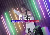 Simyee陈芯怡-青花瓷(DJHouse 打碟DJ视频)